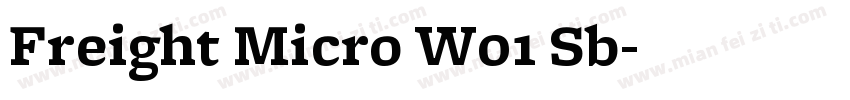 Freight Micro W01 Sb字体转换